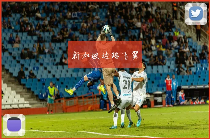 新加坡边路飞翼