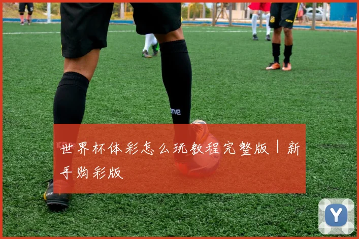 世界杯体彩怎么玩教程完整版｜新手购彩版