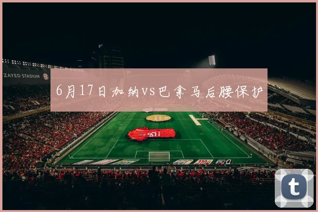 6月17日加纳vs巴拿马后腰保护 — 详细说明