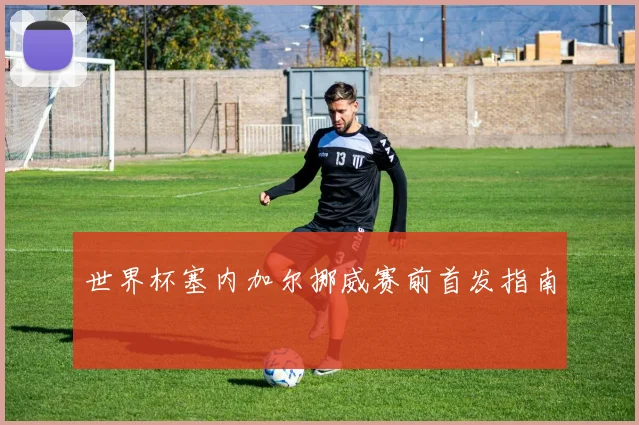 世界杯塞内加尔挪威赛前首发指南 — 详细说明