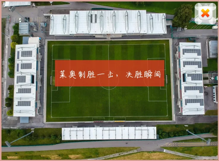 莱奥制胜一击，决胜瞬间