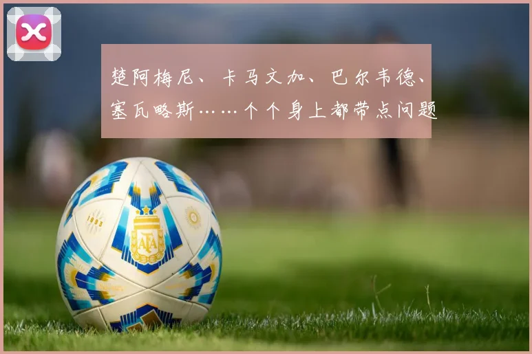 楚阿梅尼、卡马文加、巴尔韦德、塞瓦略斯……个个身上都带点问题