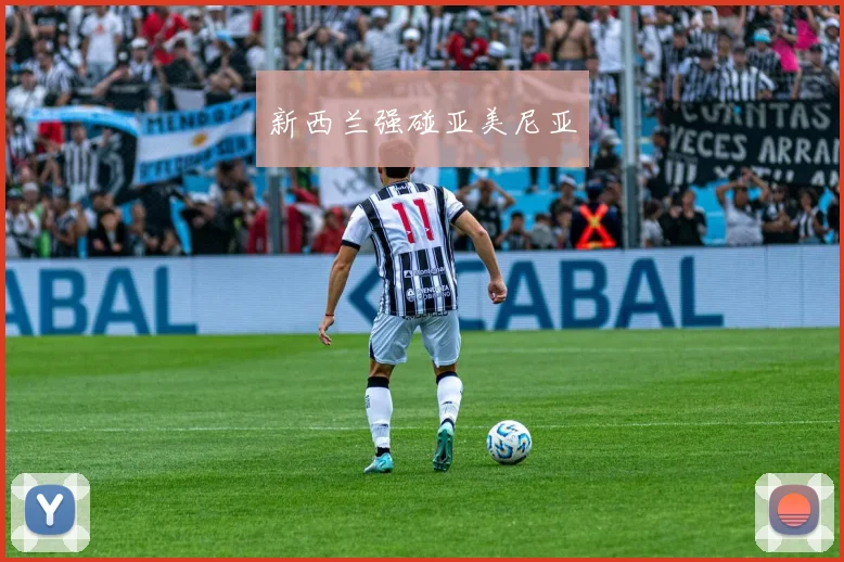 新西兰强碰亚美尼亚