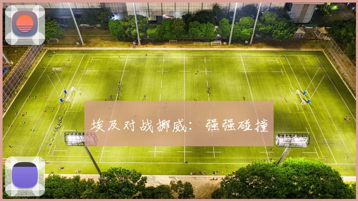 埃及对战挪威：强强碰撞