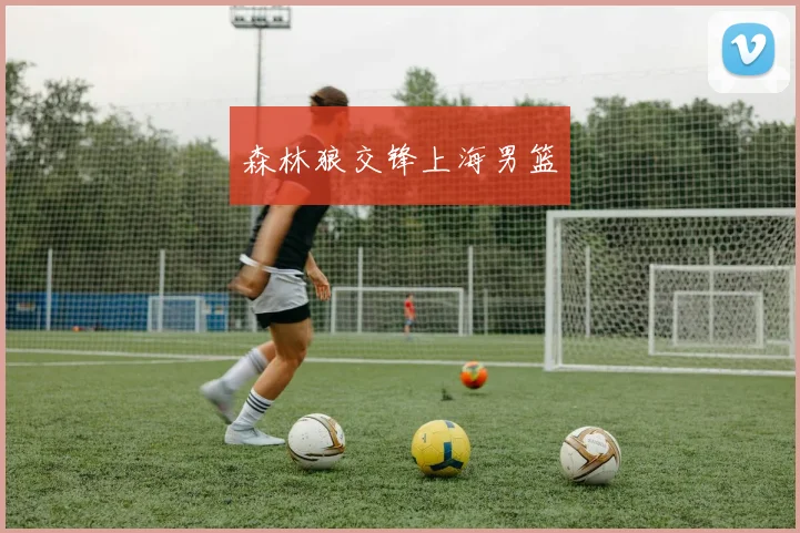 森林狼交锋上海男篮