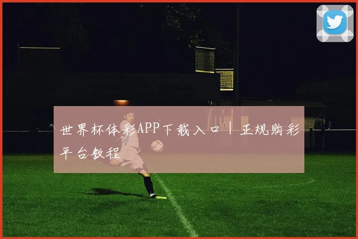 世界杯体彩APP下载入口｜正规购彩平台教程