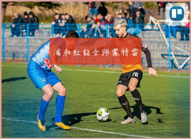 浦和红钻会师蒙特雷