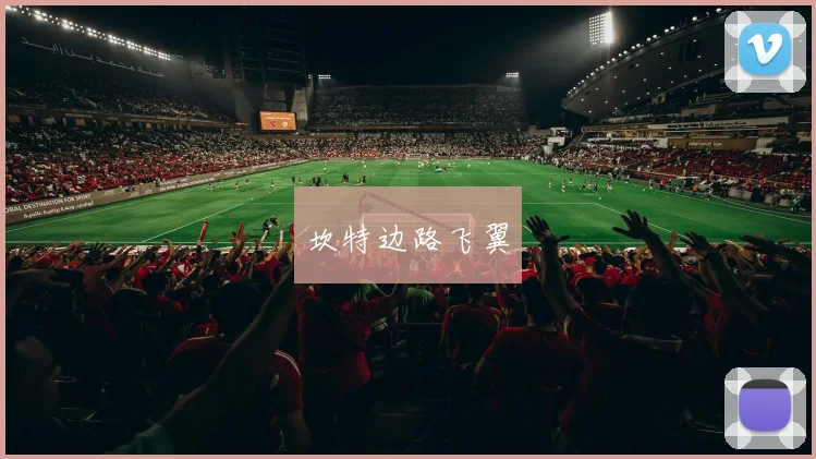 坎特边路飞翼