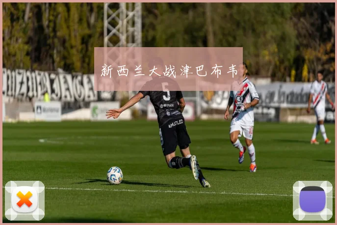 新西兰大战津巴布韦