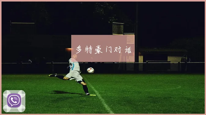 多特豪门对话