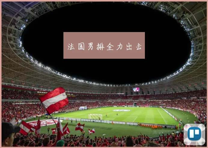 法国男排全力出击