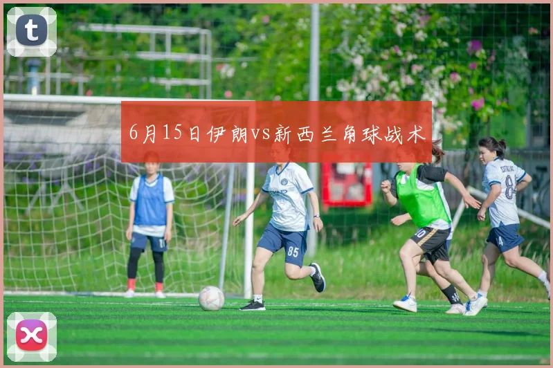 6月15日伊朗vs新西兰角球战术 · 用户常问
