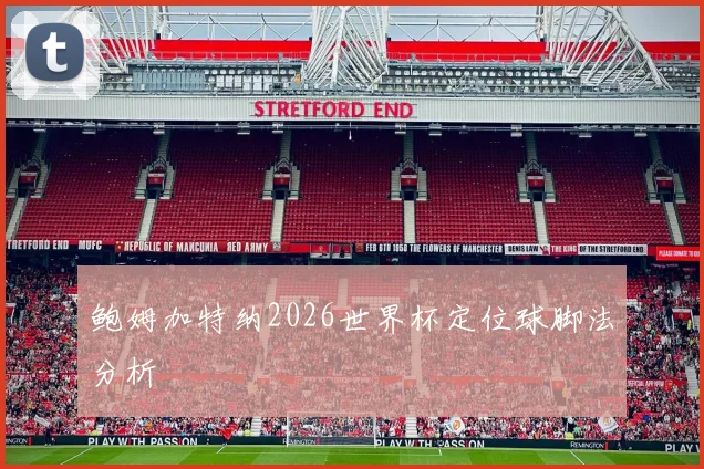 鲍姆加特纳2026世界杯定位球脚法分析 · 用户常问