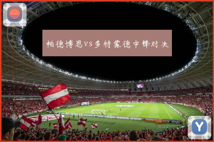 帕德博恩vs多特蒙德中锋对决